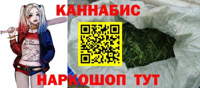 прущие крисы Нальчик