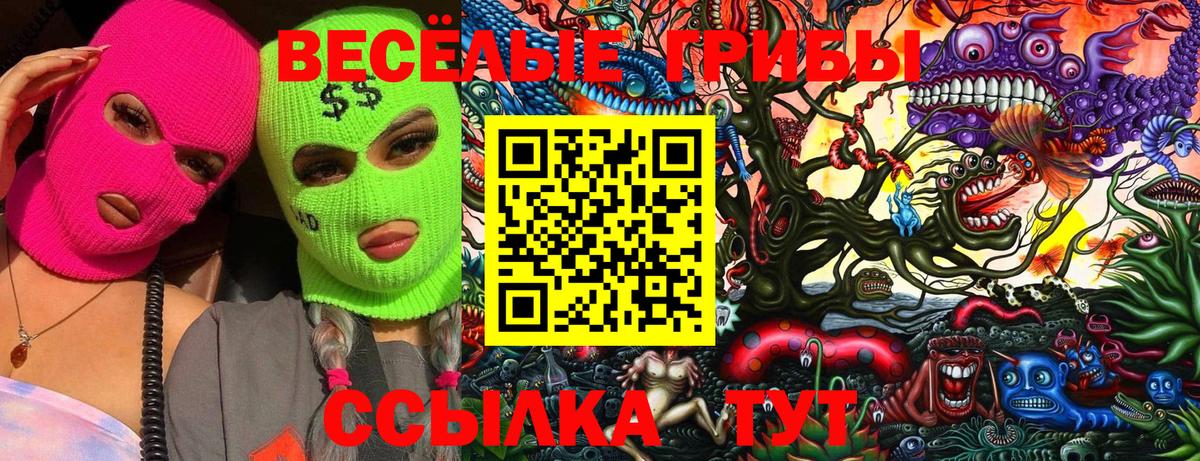 Галлюциногенные грибы ЛСД  Вход с VPN  Сертолово 