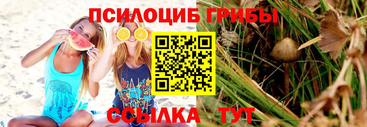 Галлюциногенные грибы прущие грибы Сертолово